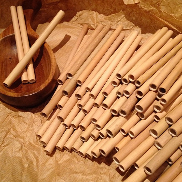 Eco Bamboo Straws